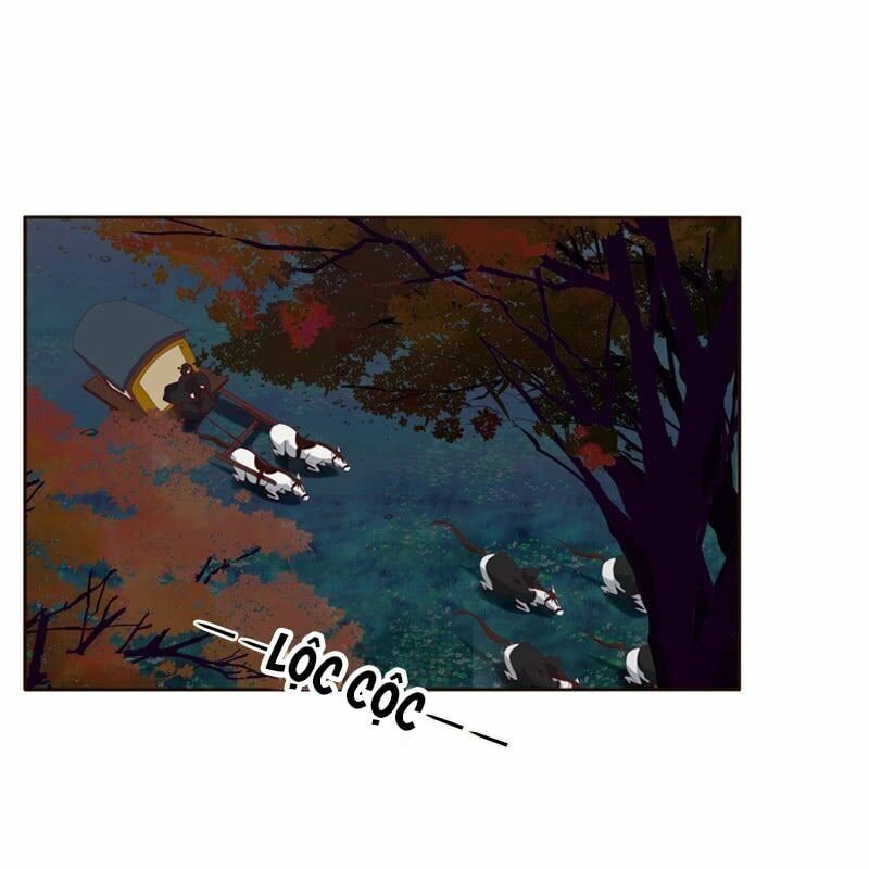 đọc truyện Thông Linh Phi Chương 269 ảnh 19 tại Thiên Thai Truyện