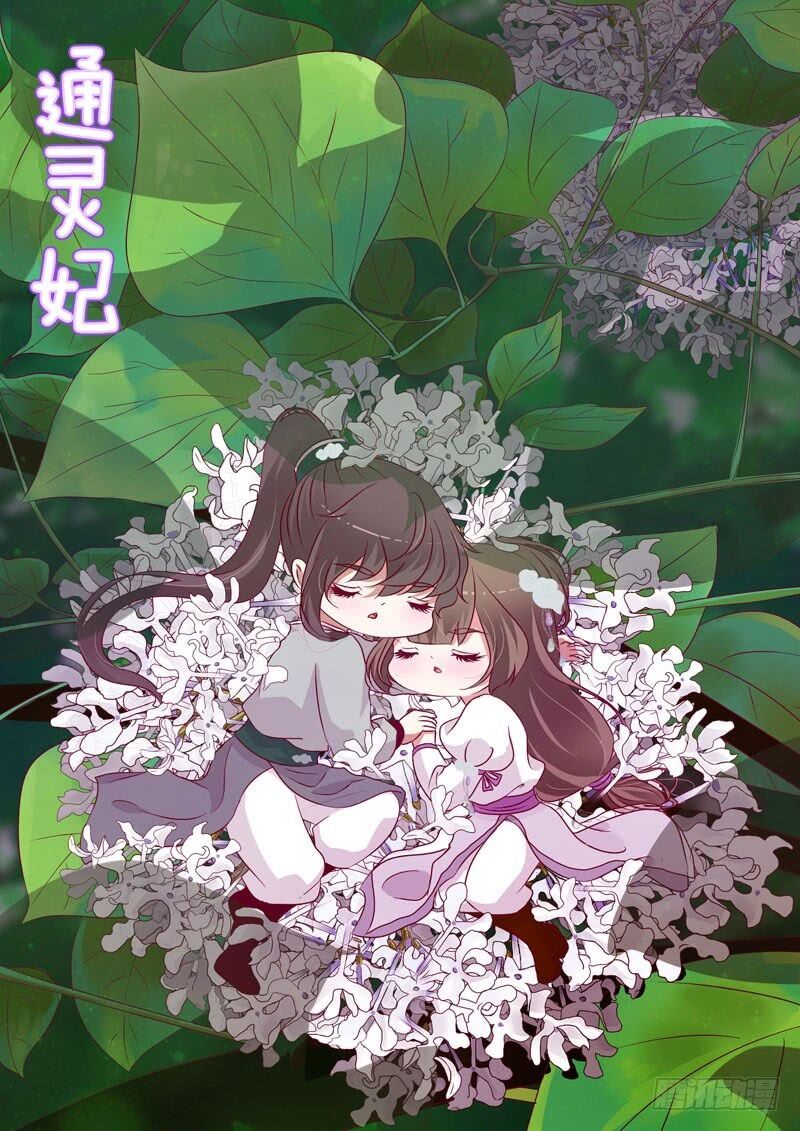 đọc truyện Thông Linh Phi Chương 276 ảnh 4 tại Thiên Thai Truyện