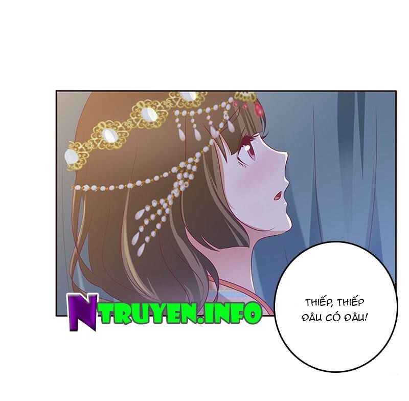 đọc truyện Thông Linh Phi Chương 288 ảnh 14 tại Thiên Thai Truyện