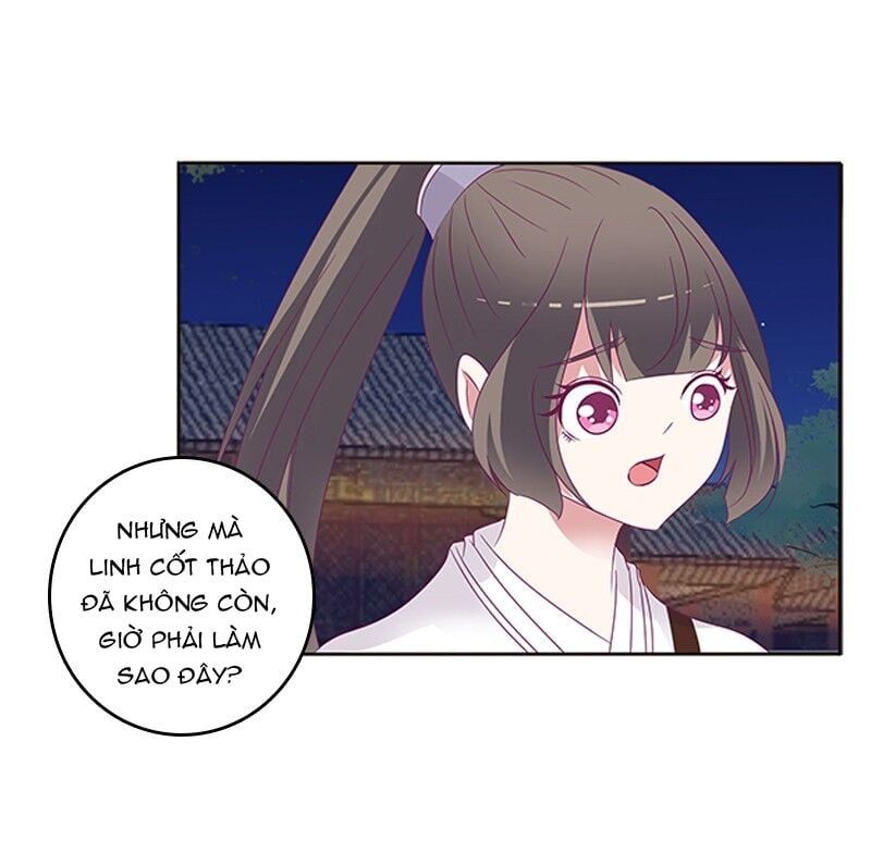 đọc truyện Thông Linh Phi Chương 294 ảnh 23 tại Thiên Thai Truyện