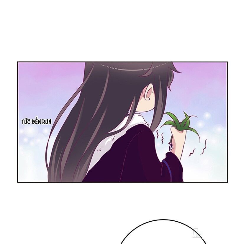 đọc truyện Thông Linh Phi Chương 296 ảnh 8 tại Thiên Thai Truyện