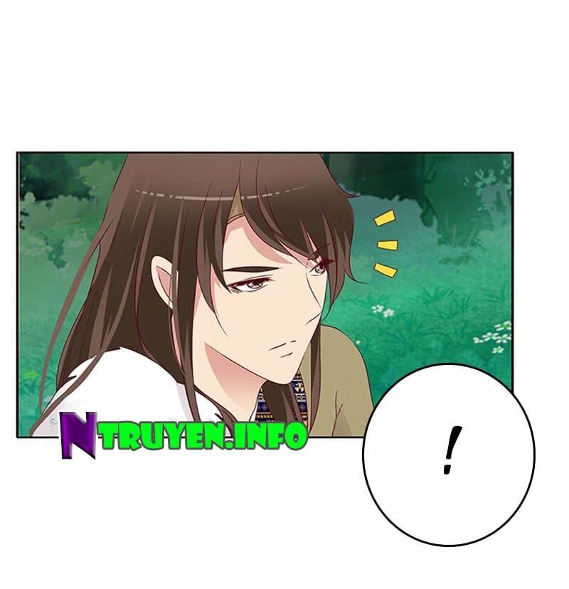 đọc truyện Thông Linh Phi Chương 312 ảnh 5 tại Thiên Thai Truyện