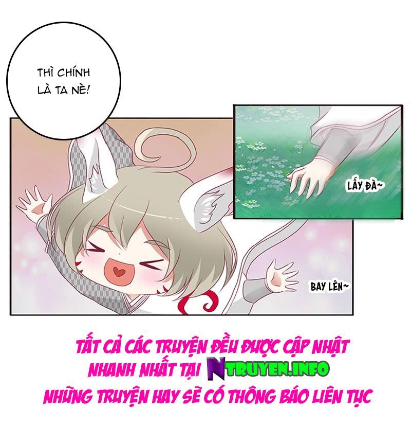 đọc truyện Thông Linh Phi Chương 315 ảnh 17 tại Thiên Thai Truyện