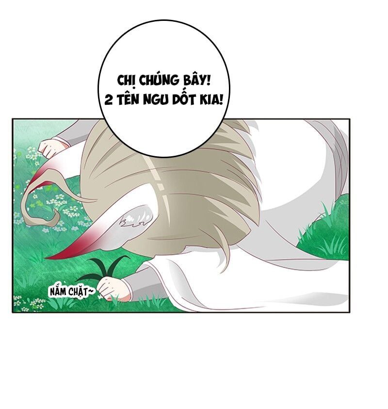 đọc truyện Thông Linh Phi Chương 315 ảnh 22 tại Thiên Thai Truyện