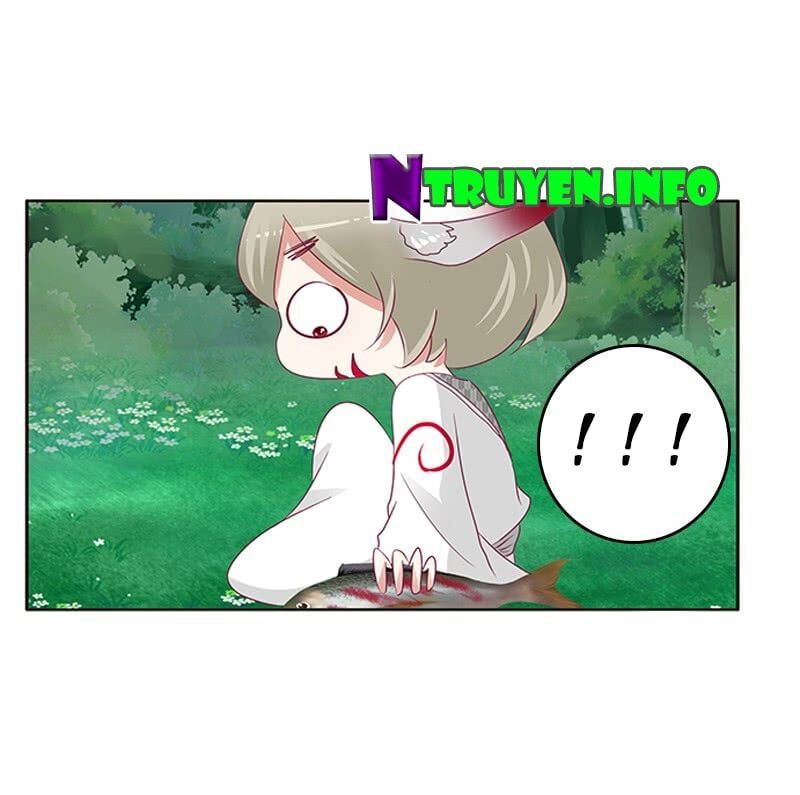 đọc truyện Thông Linh Phi Chương 315 ảnh 49 tại Thiên Thai Truyện