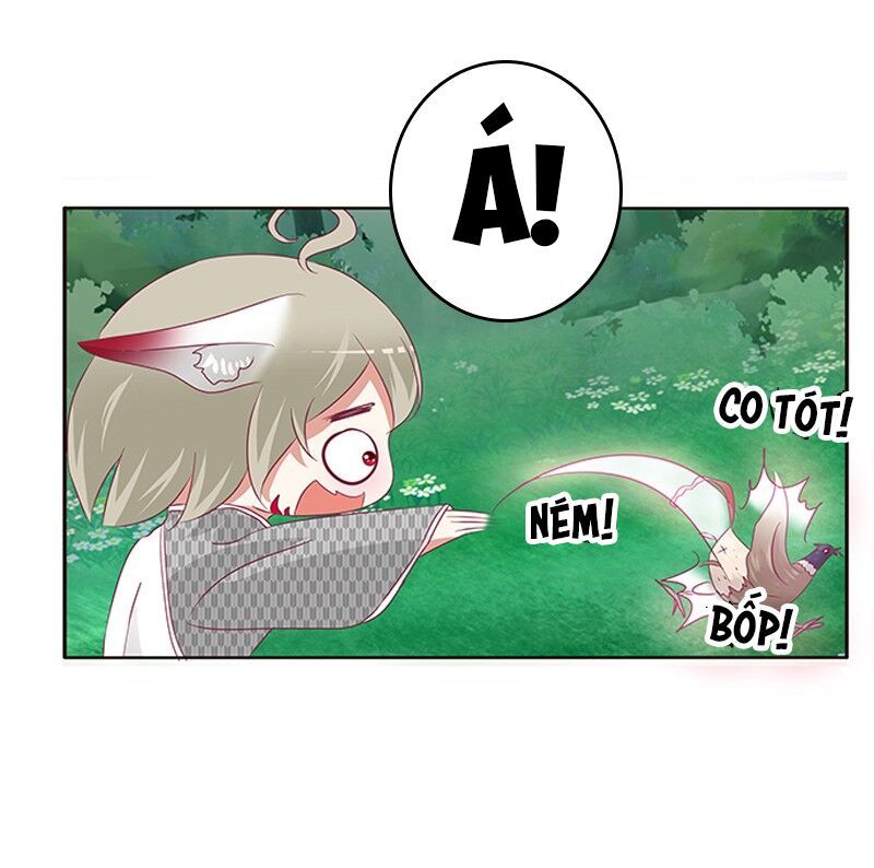 đọc truyện Thông Linh Phi Chương 315 ảnh 50 tại Thiên Thai Truyện