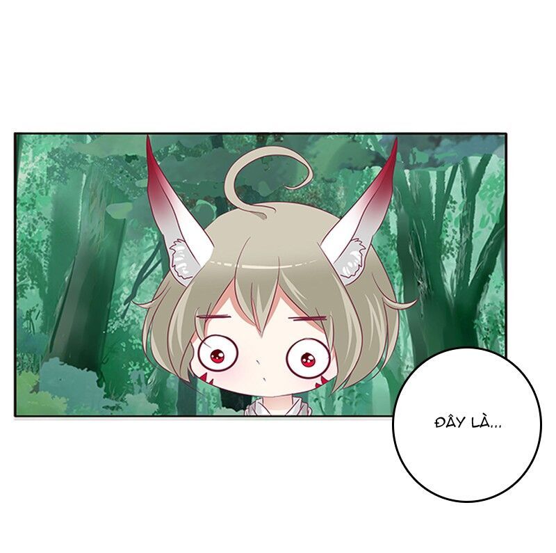 đọc truyện Thông Linh Phi Chương 315 ảnh 51 tại Thiên Thai Truyện