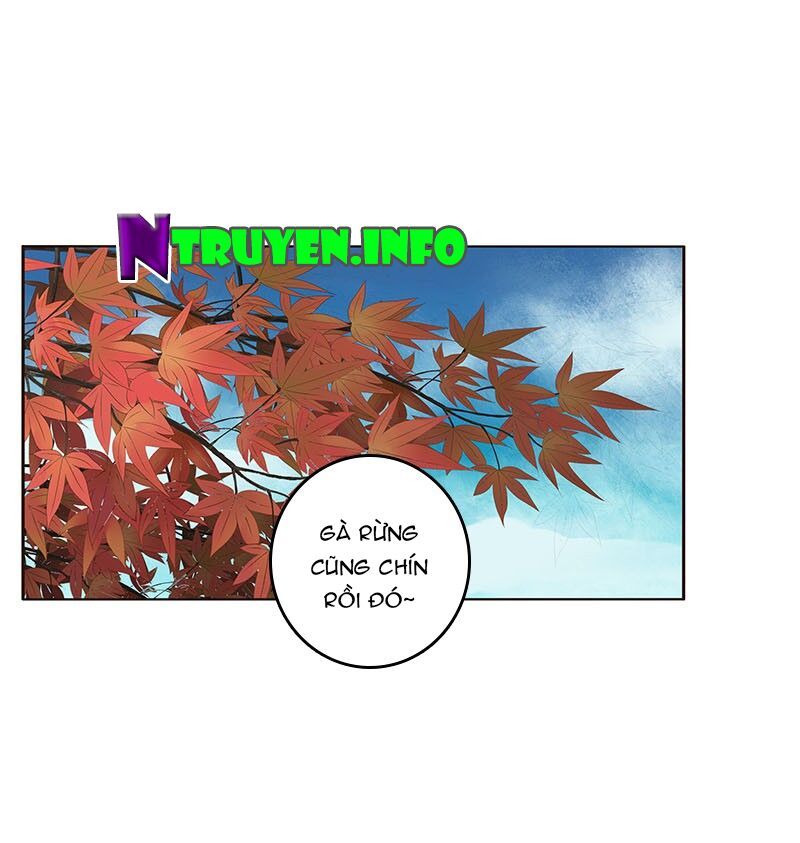 đọc truyện Thông Linh Phi Chương 318 ảnh 41 tại Thiên Thai Truyện