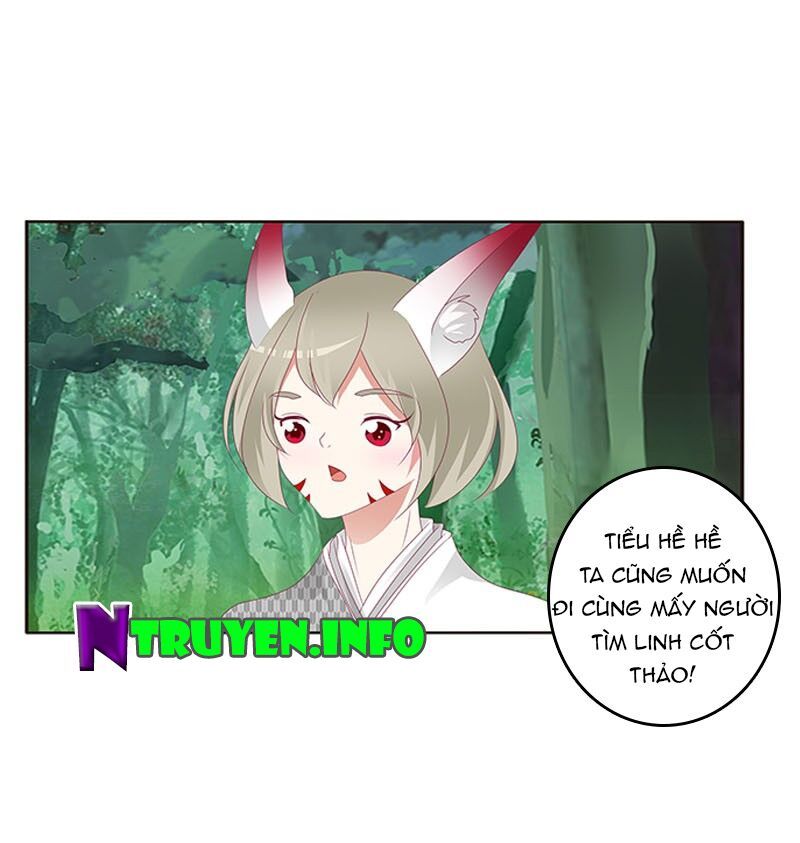 đọc truyện Thông Linh Phi Chương 318 ảnh 49 tại Thiên Thai Truyện