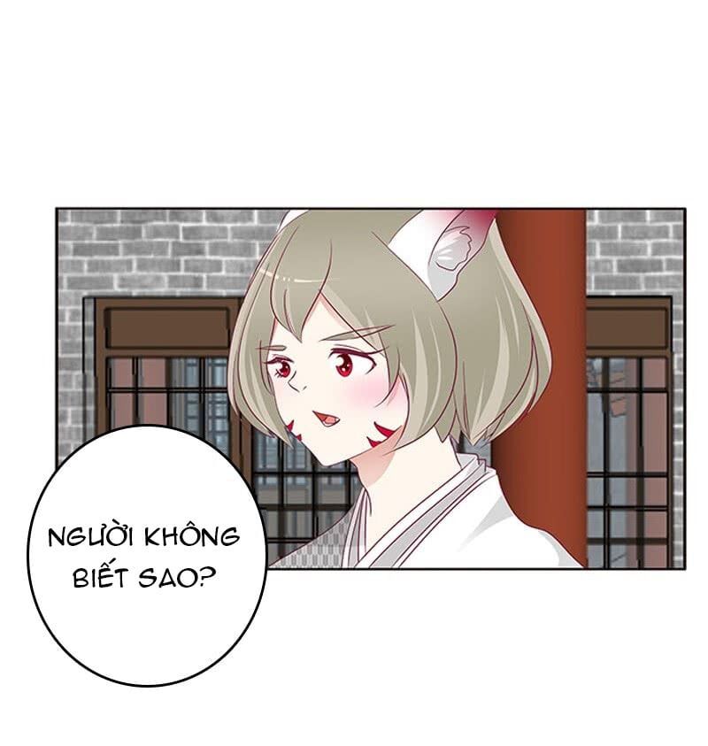 đọc truyện Thông Linh Phi Chương 320 ảnh 51 tại Thiên Thai Truyện