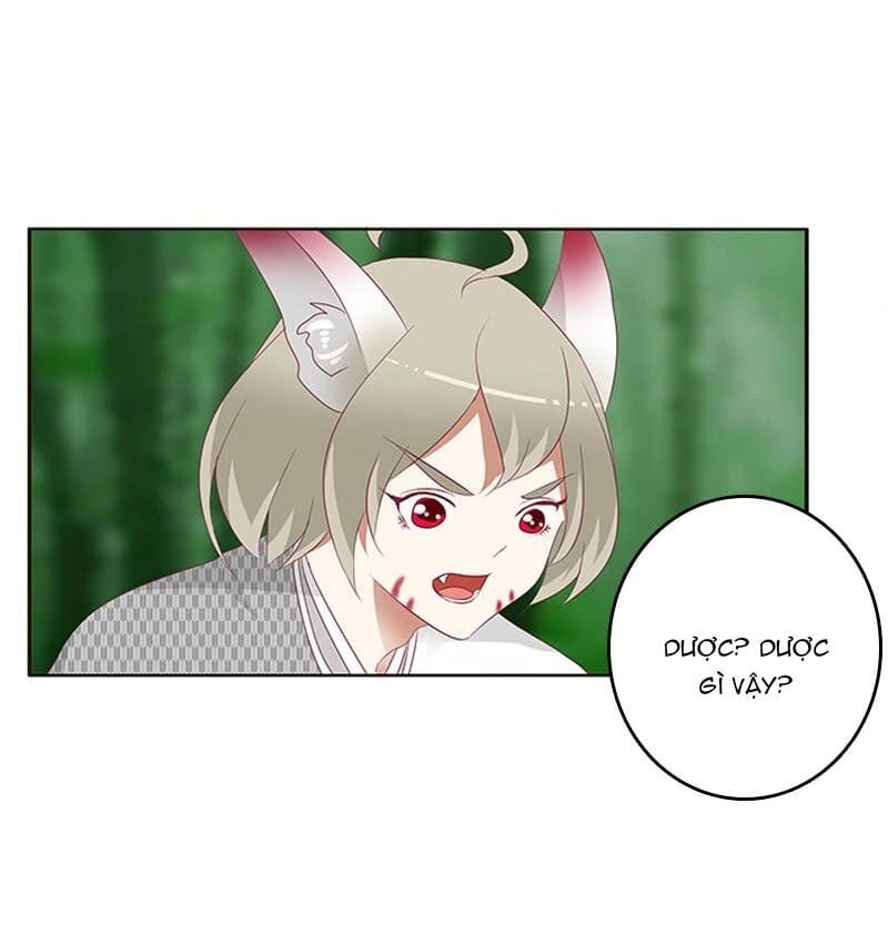 đọc truyện Thông Linh Phi Chương 324 ảnh 8 tại Thiên Thai Truyện