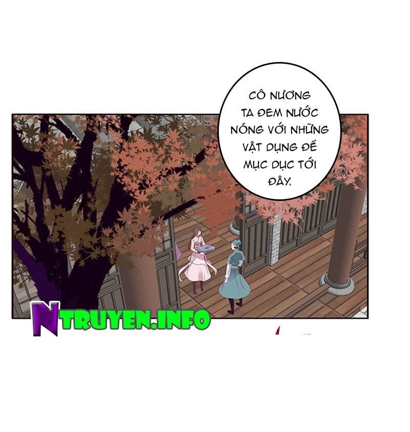 đọc truyện Thông Linh Phi Chương 326 ảnh 22 tại Thiên Thai Truyện