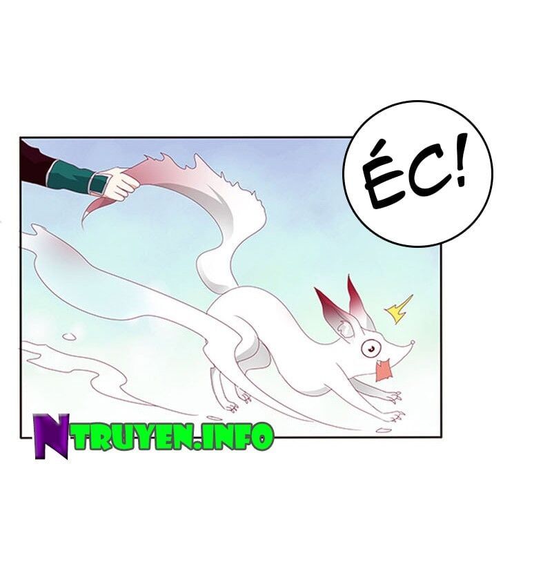 đọc truyện Thông Linh Phi Chương 326 ảnh 26 tại Thiên Thai Truyện