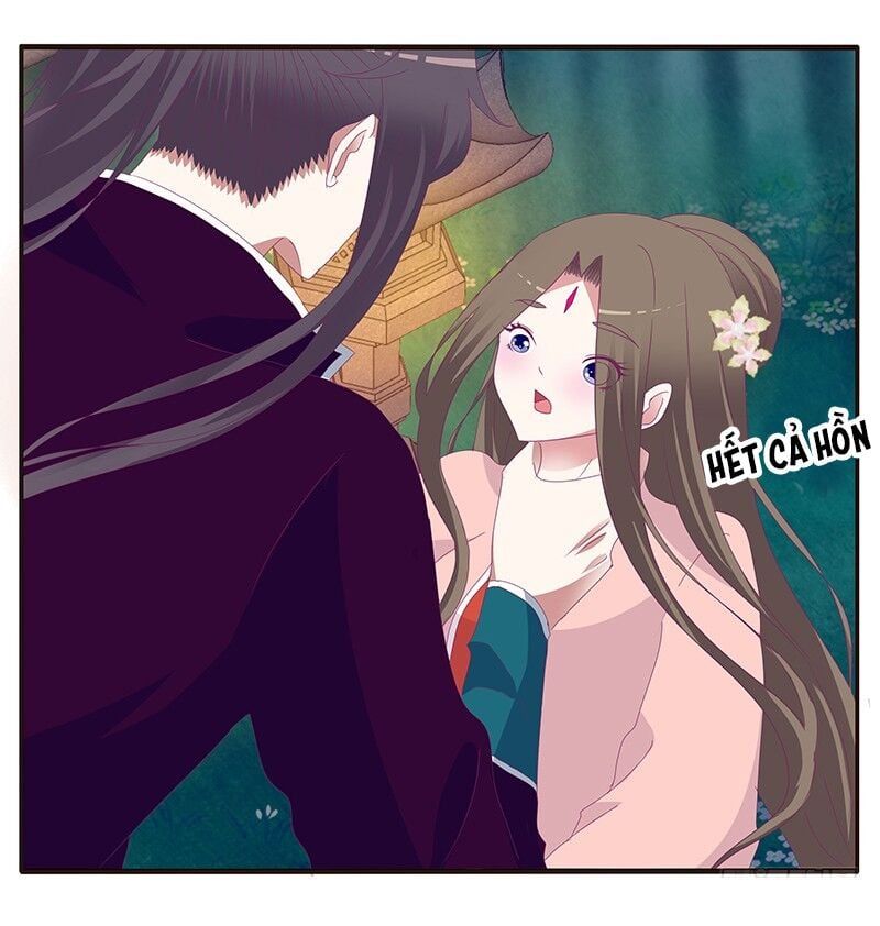 đọc truyện Thông Linh Phi Chương 333 ảnh 19 tại Thiên Thai Truyện