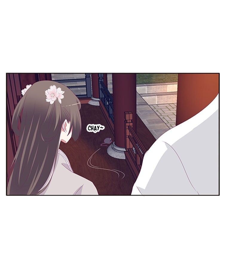 đọc truyện Thông Linh Phi Chương 345 ảnh 10 tại Thiên Thai Truyện