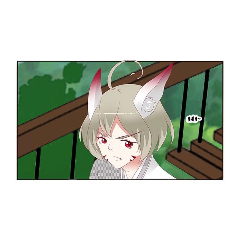 đọc truyện Thông Linh Phi Chương 351 ảnh 12 tại Thiên Thai Truyện