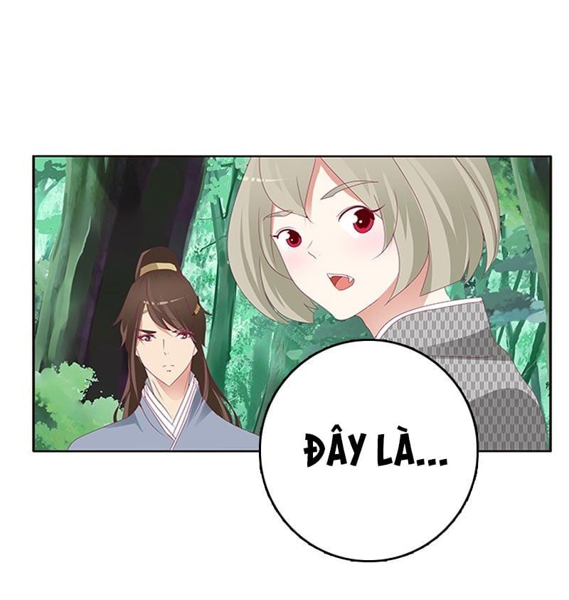 đọc truyện Thông Linh Phi Chương 357 ảnh 6 tại Thiên Thai Truyện