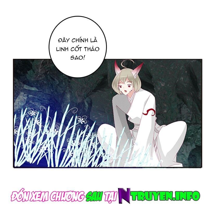 đọc truyện Thông Linh Phi Chương 369 ảnh 29 tại Thiên Thai Truyện