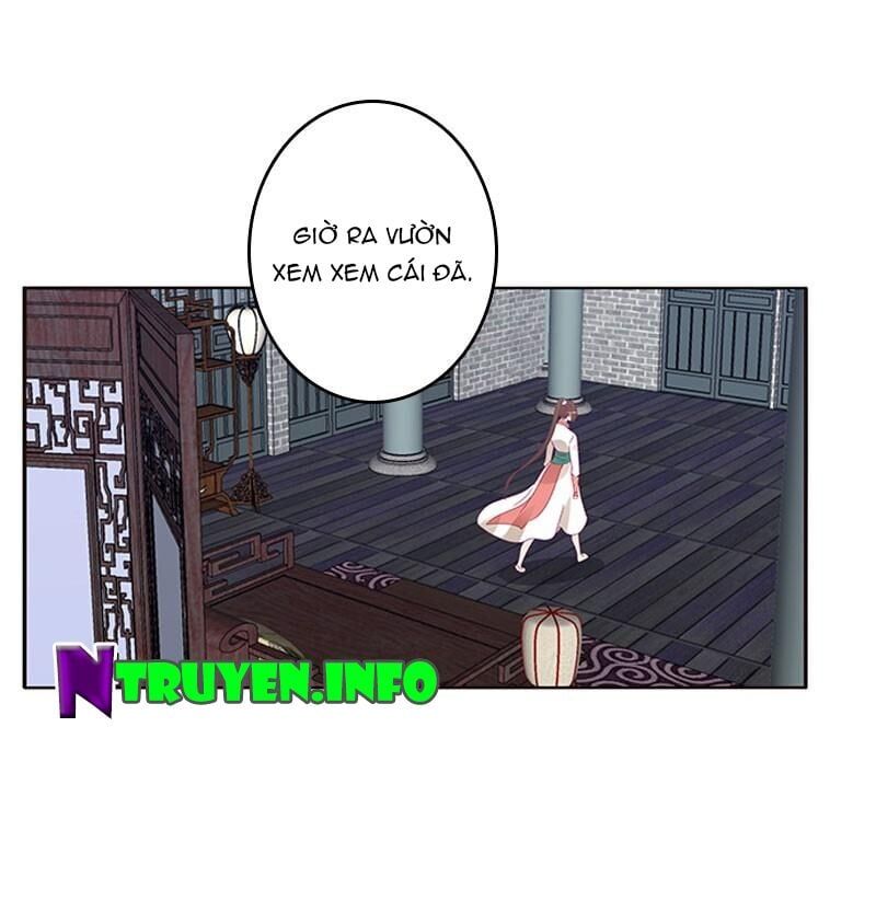 đọc truyện Thông Linh Phi Chương 382 ảnh 13 tại Thiên Thai Truyện