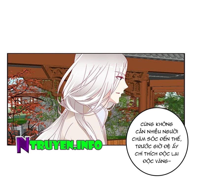 đọc truyện Thông Linh Phi Chương 403 ảnh 21 tại Thiên Thai Truyện