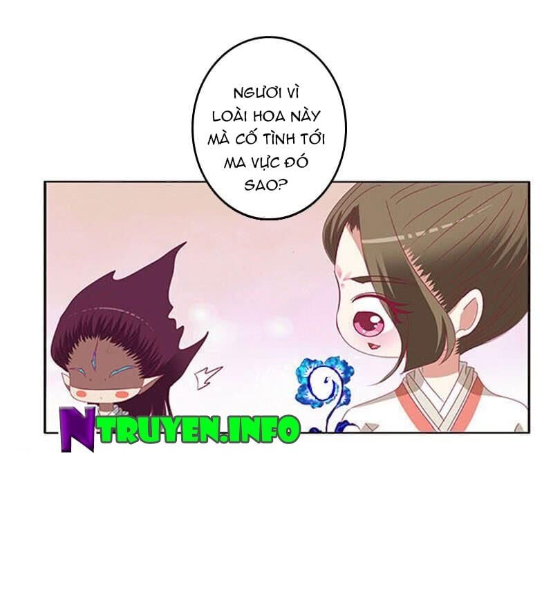 đọc truyện Thông Linh Phi Chương 405 ảnh 13 tại Thiên Thai Truyện