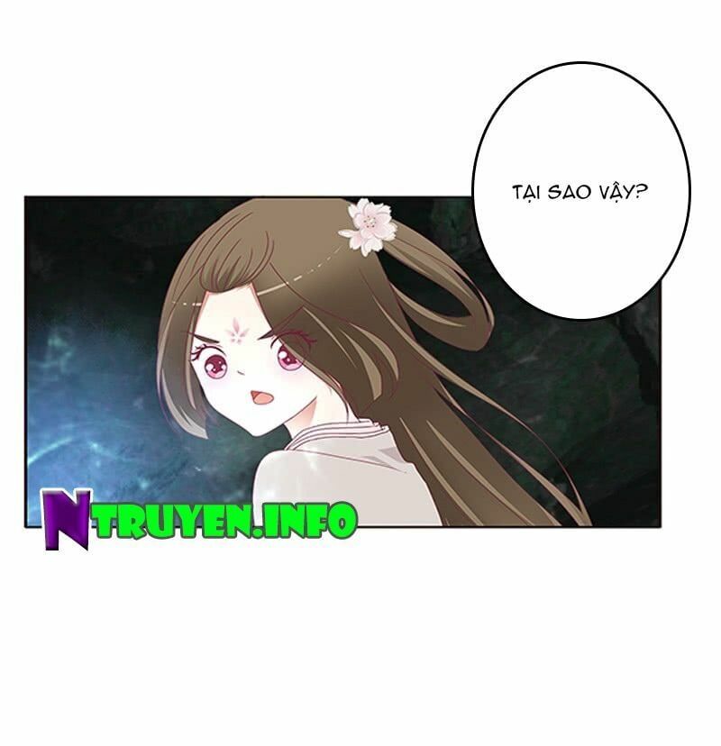 đọc truyện Thông Linh Phi Chương 428 ảnh 13 tại Thiên Thai Truyện