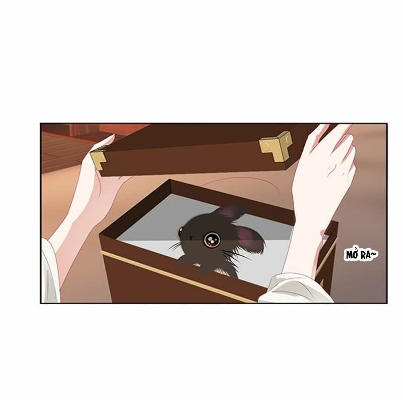 đọc truyện Thông Linh Phi Chương 431 ảnh 23 tại Thiên Thai Truyện