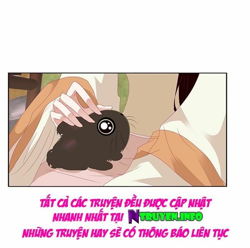 đọc truyện Thông Linh Phi Chương 440 ảnh 18 tại Thiên Thai Truyện