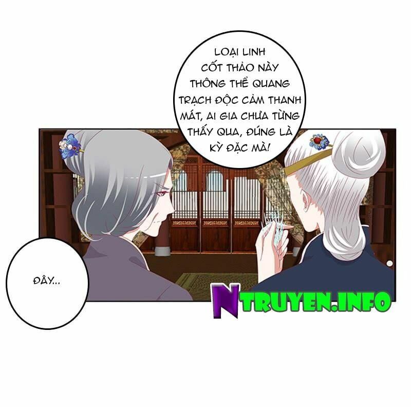 đọc truyện Thông Linh Phi Chương 448 ảnh 14 tại Thiên Thai Truyện