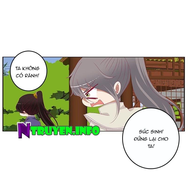 đọc truyện Thông Linh Phi Chương 473 ảnh 21 tại Thiên Thai Truyện