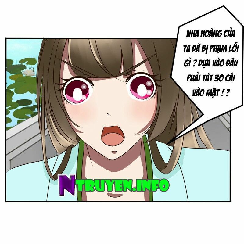 đọc truyện Thông Linh Phi Chương 48 ảnh 25 tại Thiên Thai Truyện