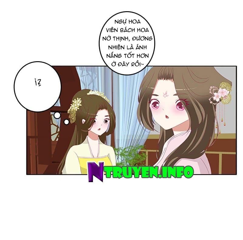 đọc truyện Thông Linh Phi Chương 496 ảnh 23 tại Thiên Thai Truyện