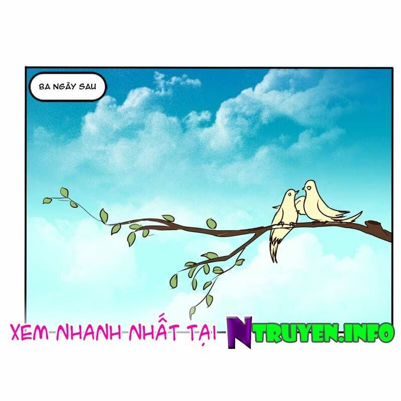 đọc truyện Thông Linh Phi Chương 51 ảnh 33 tại Thiên Thai Truyện