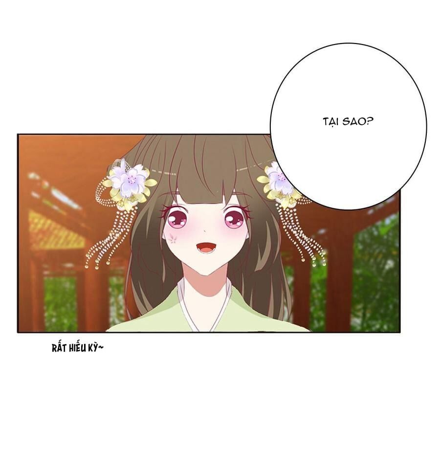 đọc truyện Thông Linh Phi Chương 553 ảnh 15 tại Thiên Thai Truyện