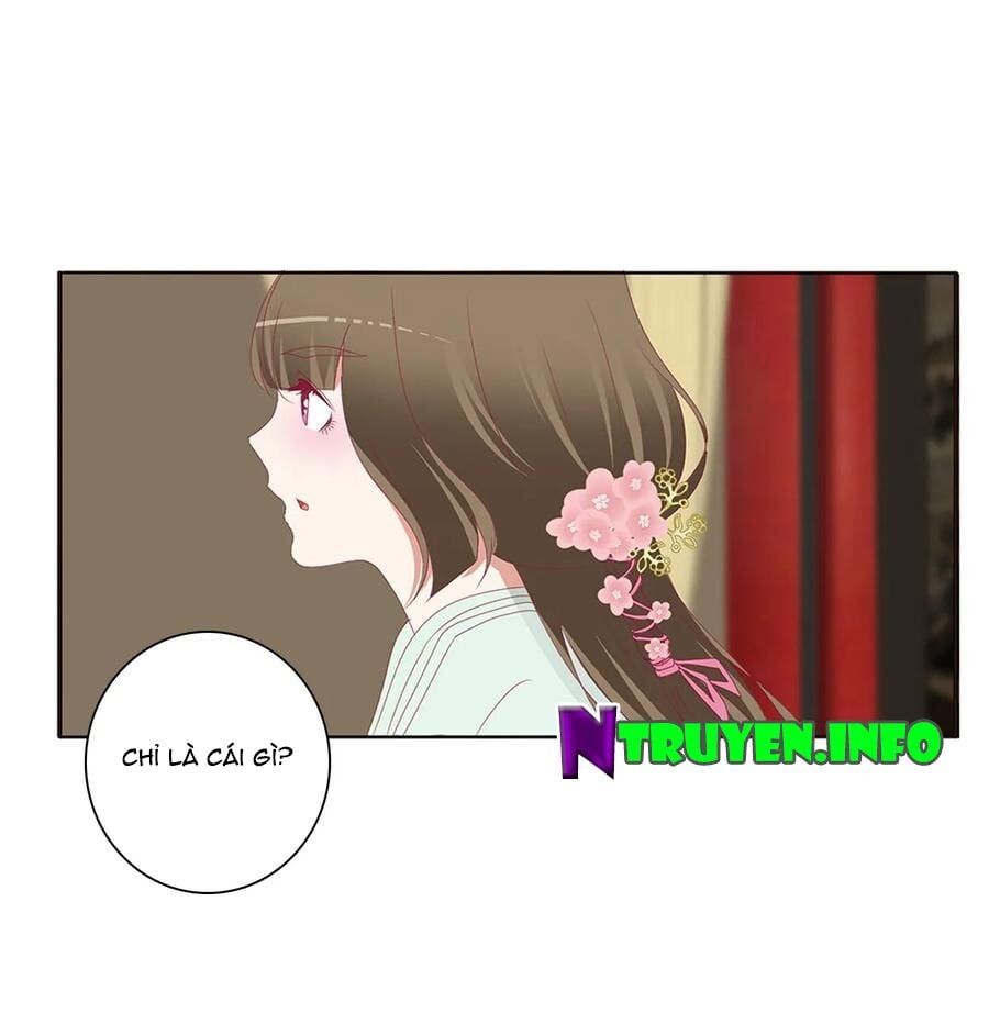 đọc truyện Thông Linh Phi Chương 567 ảnh 9 tại Thiên Thai Truyện