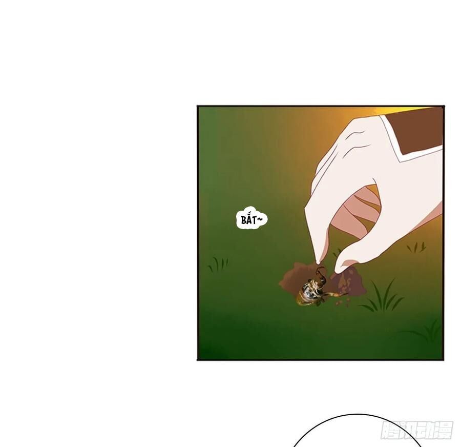 đọc truyện Thông Linh Phi Chương 626 ảnh 6 tại Thiên Thai Truyện