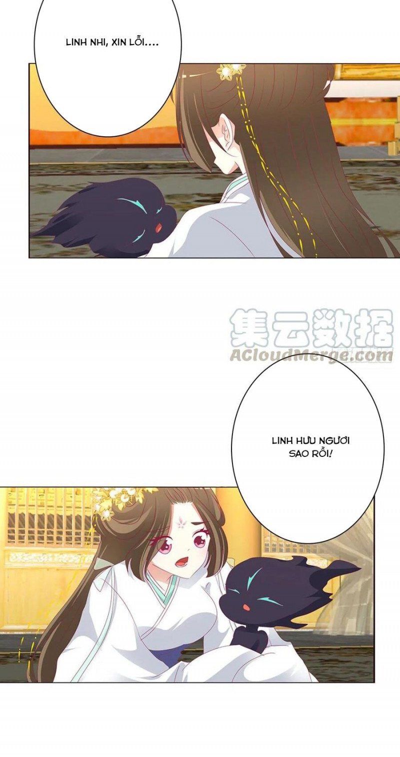 đọc truyện Thông Linh Phi Chương 679 ảnh 10 tại Thiên Thai Truyện