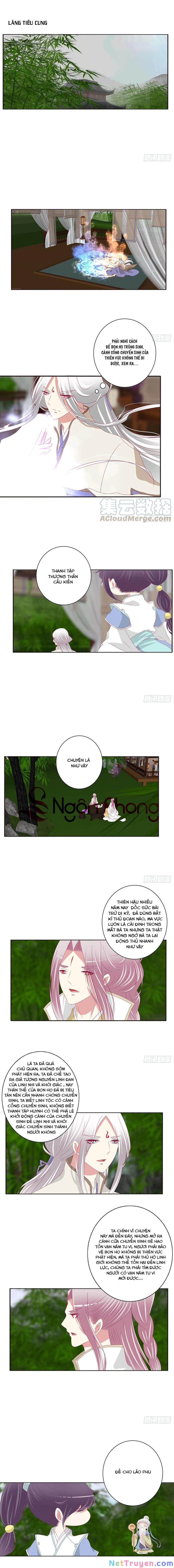 đọc truyện Thông Linh Phi Chương 687 ảnh 3 tại Thiên Thai Truyện