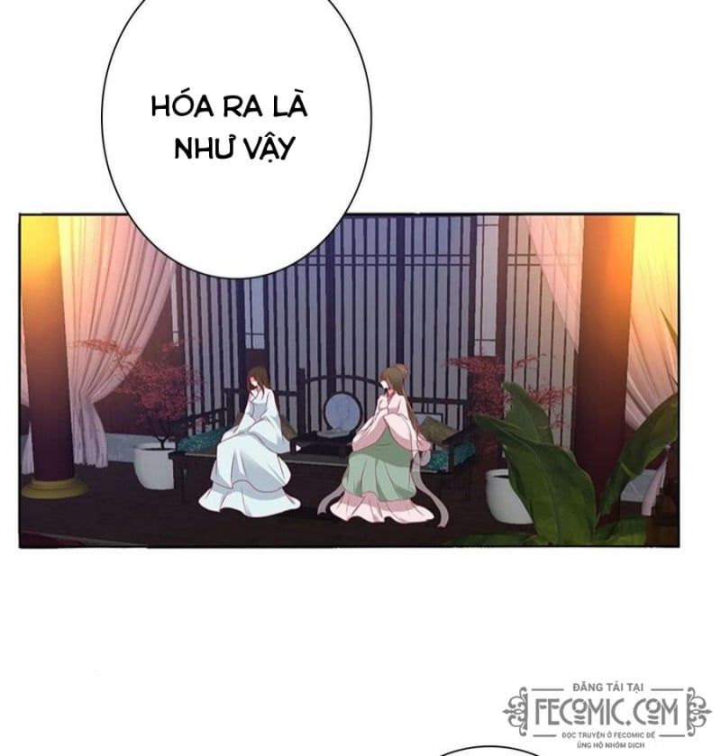 đọc truyện Thông Linh Phi Chương 720 ảnh 34 tại Thiên Thai Truyện