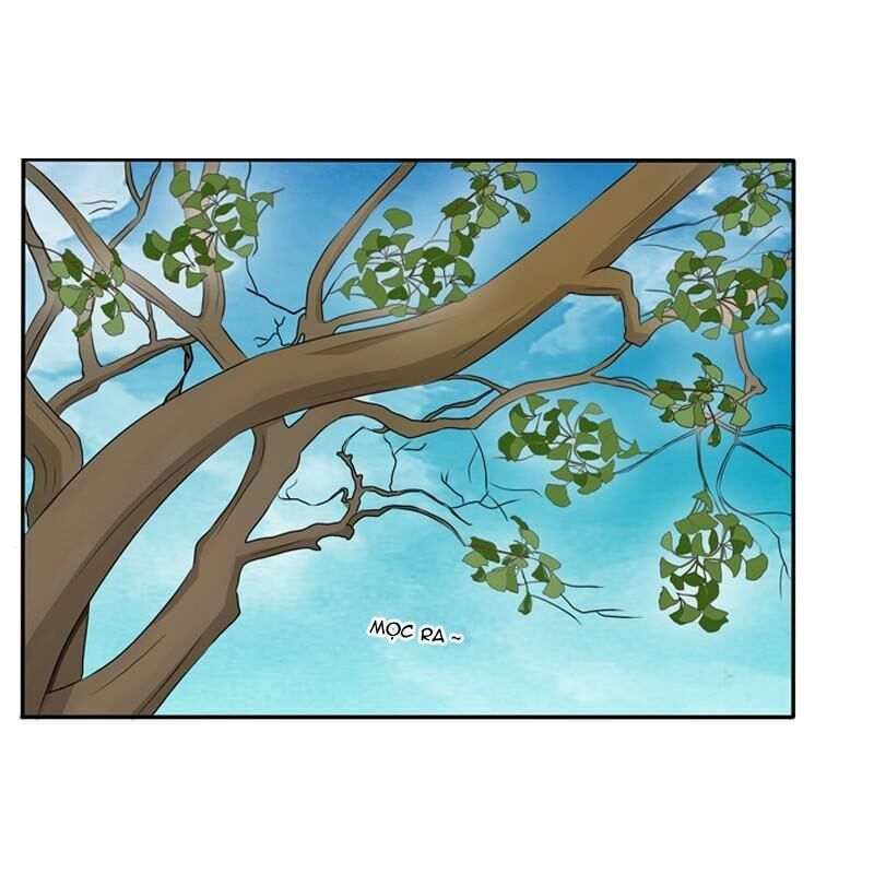 đọc truyện Thông Linh Phi Chương 87 ảnh 12 tại Thiên Thai Truyện