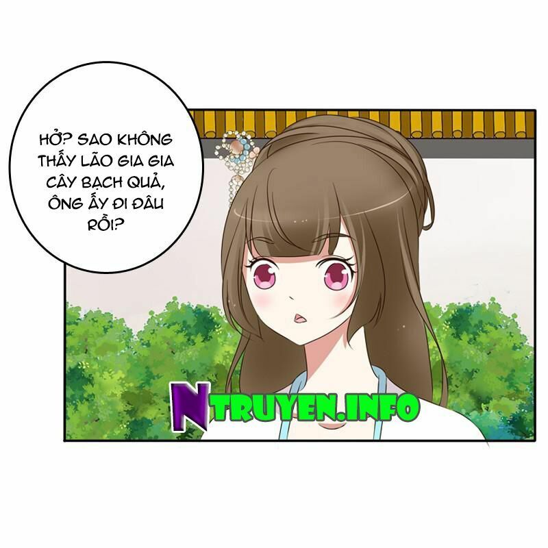 đọc truyện Thông Linh Phi Chương 91 ảnh 13 tại Thiên Thai Truyện