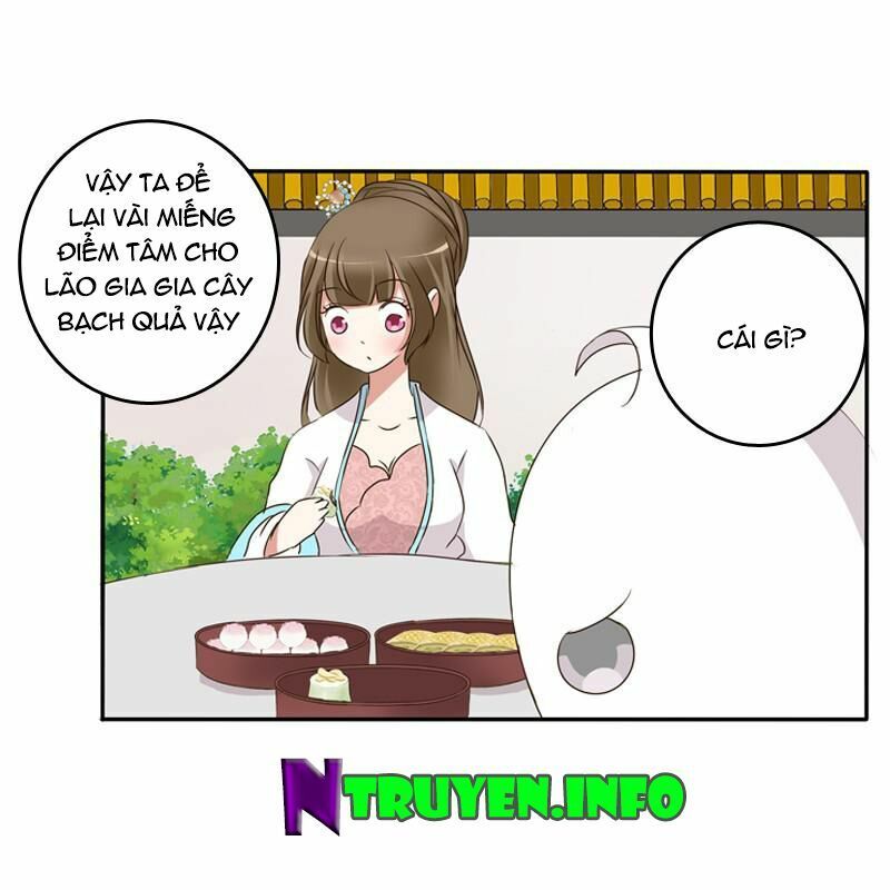 đọc truyện Thông Linh Phi Chương 91 ảnh 17 tại Thiên Thai Truyện