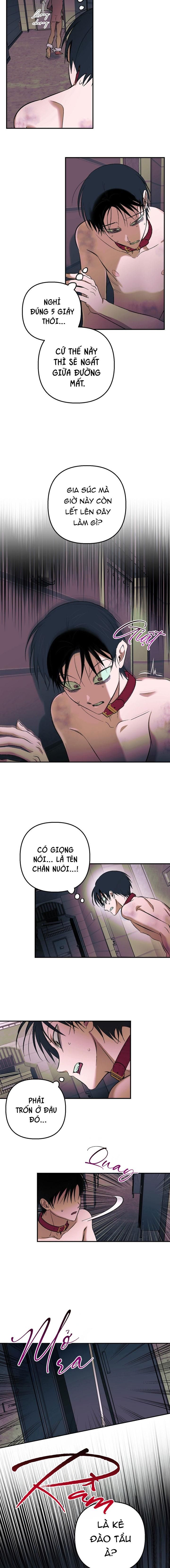 đọc truyện Thú Cưng Damdang Chương 9.3 ảnh 9 tại Thiên Thai Truyện