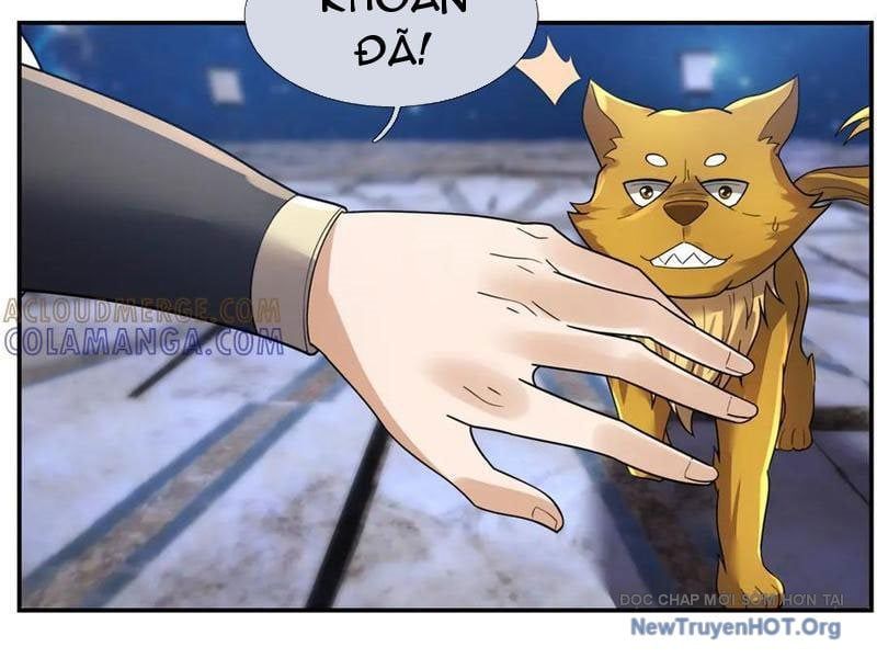 đọc truyện Thu Triệu Vạn Đồ Đệ, Vi Sư Vô Địch Thế Gian Chương 196 ảnh 39 tại Thiên Thai Truyện