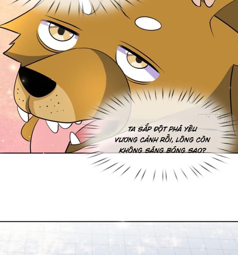 đọc truyện Thu Triệu Vạn Đồ Đệ, Vi Sư Vô Địch Thế Gian Chương 43 ảnh 36 tại Thiên Thai Truyện