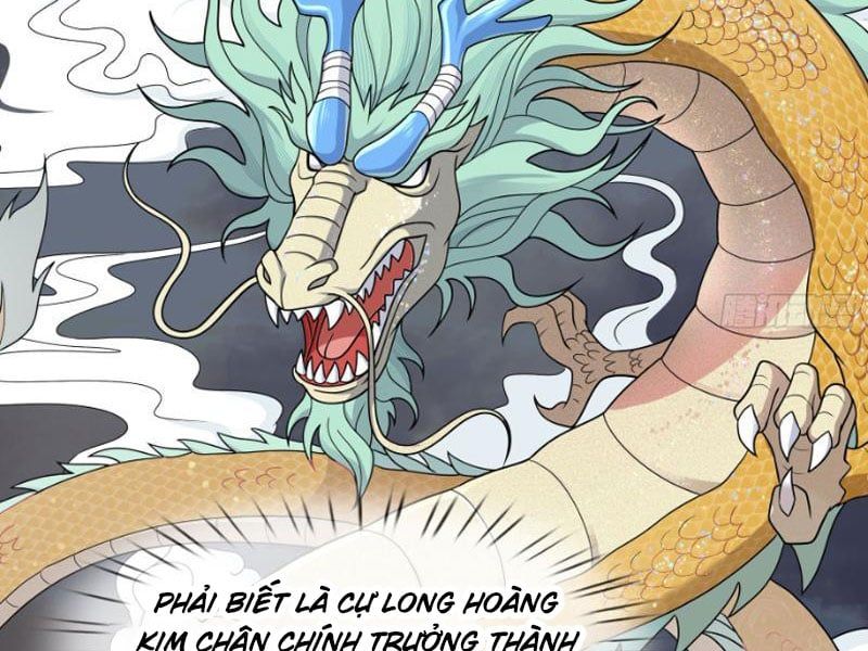 đọc truyện Thu Triệu Vạn Đồ Đệ, Vi Sư Vô Địch Thế Gian Chương 49 ảnh 30 tại Thiên Thai Truyện