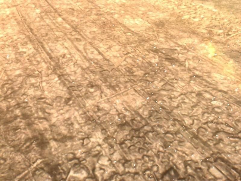 đọc truyện Thu Triệu Vạn Đồ Đệ, Vi Sư Vô Địch Thế Gian Chương 75 ảnh 92 tại Thiên Thai Truyện