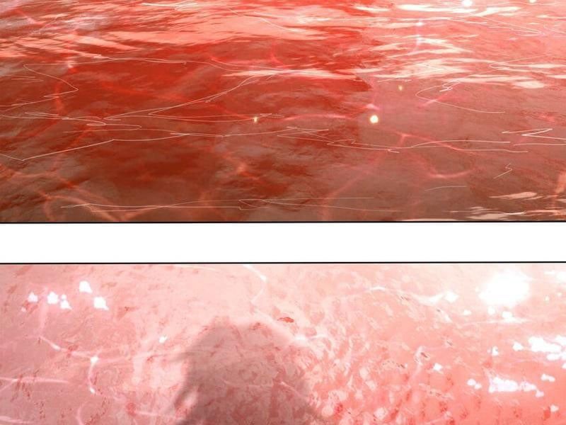 đọc truyện Thu Triệu Vạn Đồ Đệ, Vi Sư Vô Địch Thế Gian Chương 77 ảnh 101 tại Thiên Thai Truyện