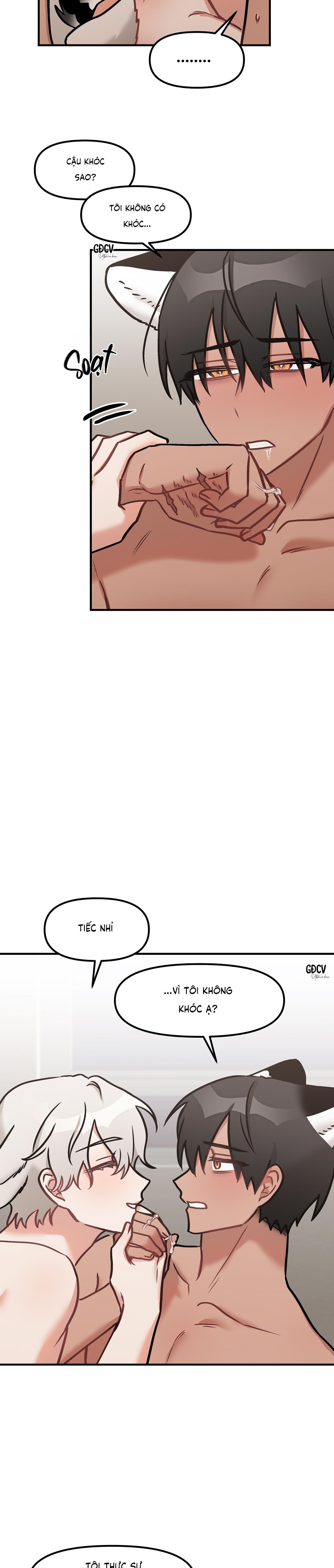 đọc truyện Thưa Ngài Hổ, Tôi Đã Ăn Rất Ngon Miệng Chương 24 ảnh 12 tại Truyện Dạ Ký