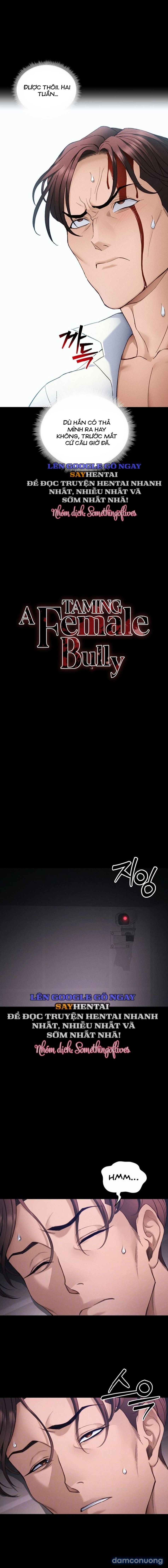 đọc truyện Thuần Phục Kẻ Bắt Nạt Chương 38 ảnh 3 tại Thiên Thai Truyện